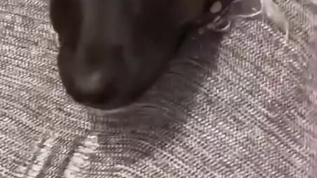 I trapped myself by tearing my house apart