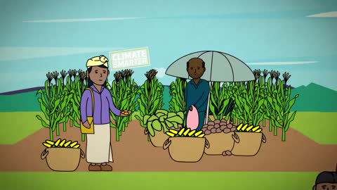Climate-Smart Agriculture in Action