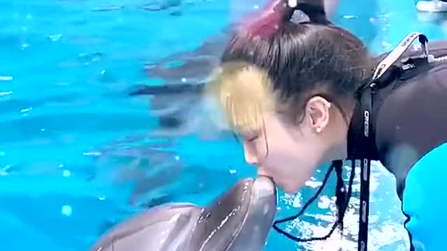 Dolphin Kisses Trainers