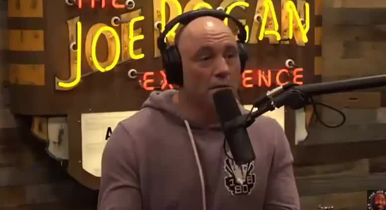 Joe Rogan Rips Wokeness, Says It Means ‘Straight White Men Are Not Allowed to Talk’