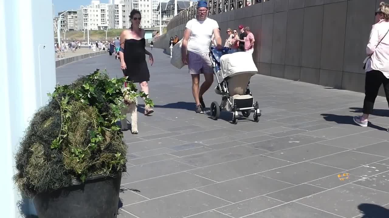 Bushman Prank Scare people and dog