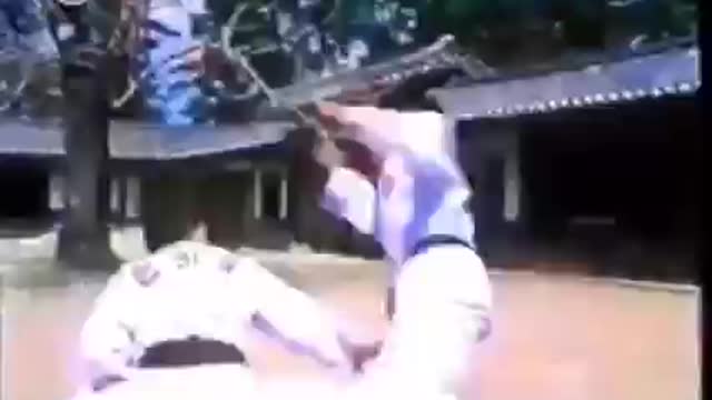 K.H.F. (Korea Hapkido Federation)