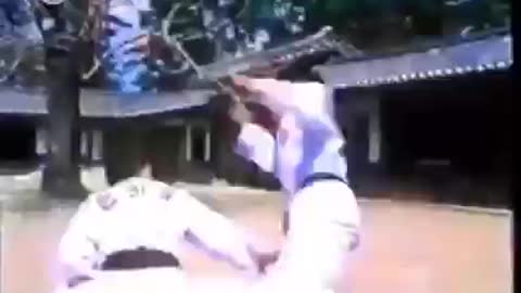 K.H.F. (Korea Hapkido Federation)