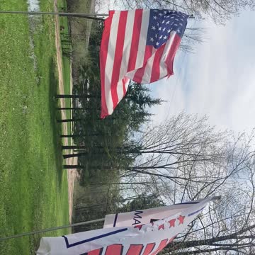 DHP #marijuanagrow 5-12-2022 seeds, gorillaglue, auto flower not photo