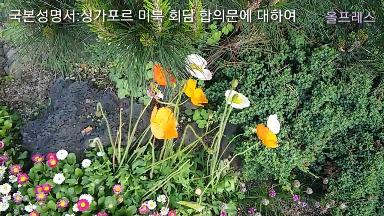 20180613_V3_S01(_MSBgesiso0)싱가포르 미북 회담 합의문에 대하여(국본성명서)