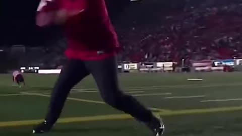 World record for longest catch at a sporting event and it’s by a dog! (via @Frisbee Rob)
