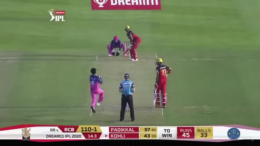 Cricket
