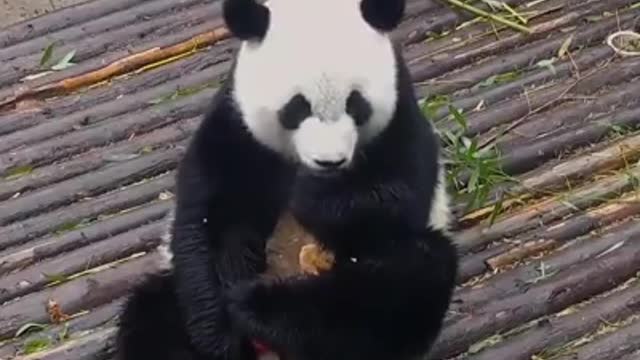 Panda Monium