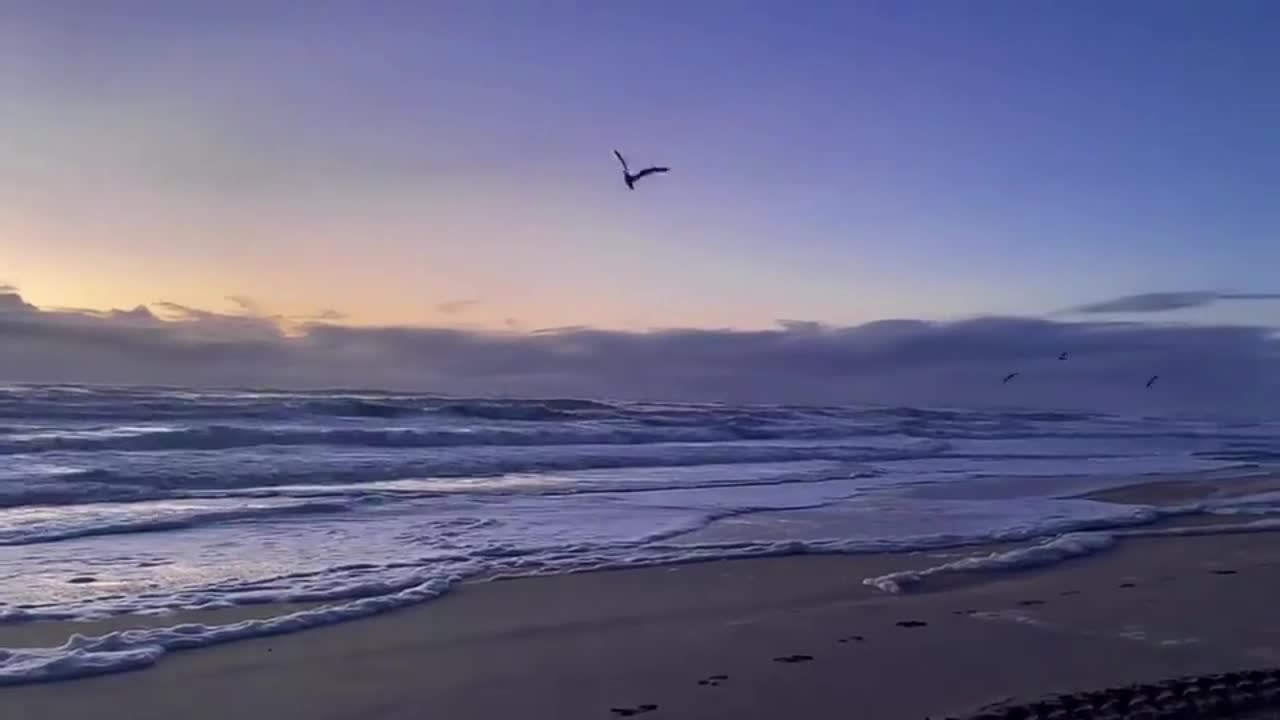 Let's go and see the sea!380
