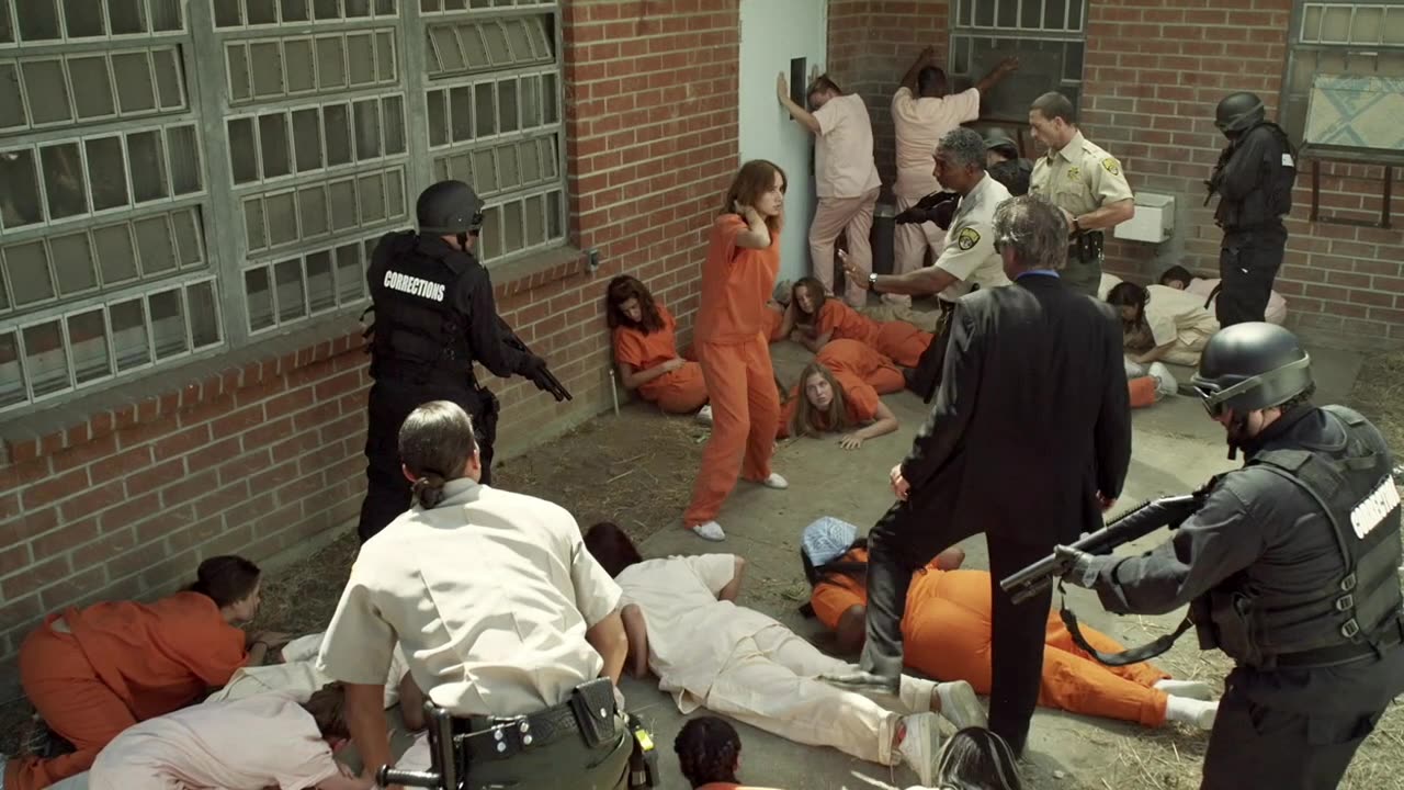 Watermelons (Part 19) - the merchandise