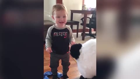 Try Not To Laugh ( Baby Edition )