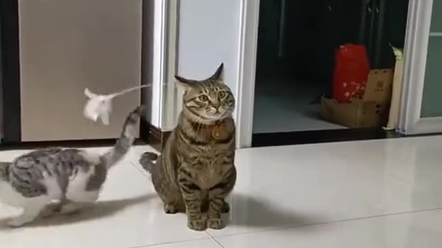 Yes, what is there🤔😀