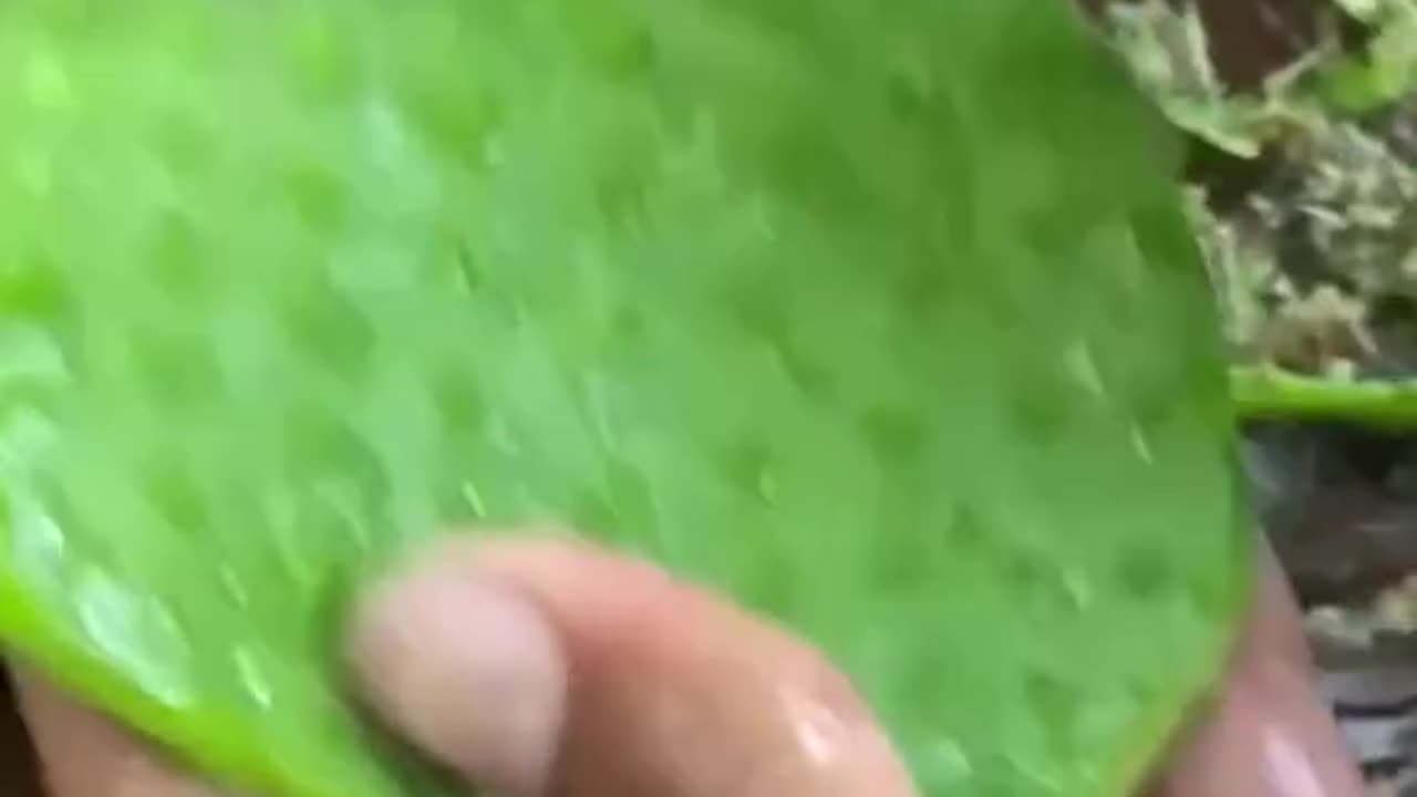 Satisfying fruit cutting