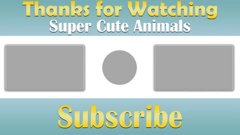 Super cute animals and Funny animal moments #Cute animal moments