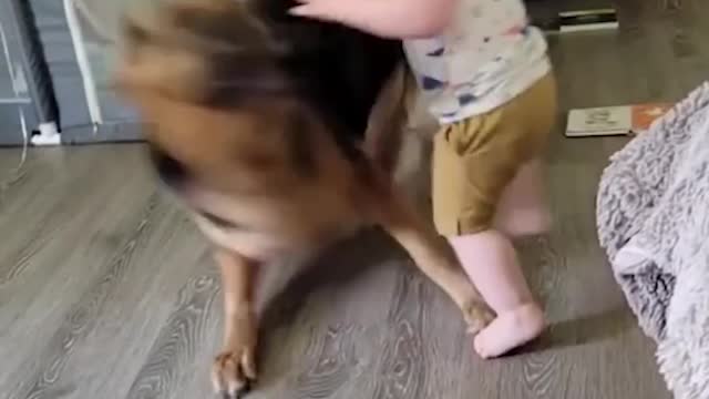 Adorable pup makes baby laugh hysterically