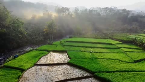 Asian nature😍❤🐴