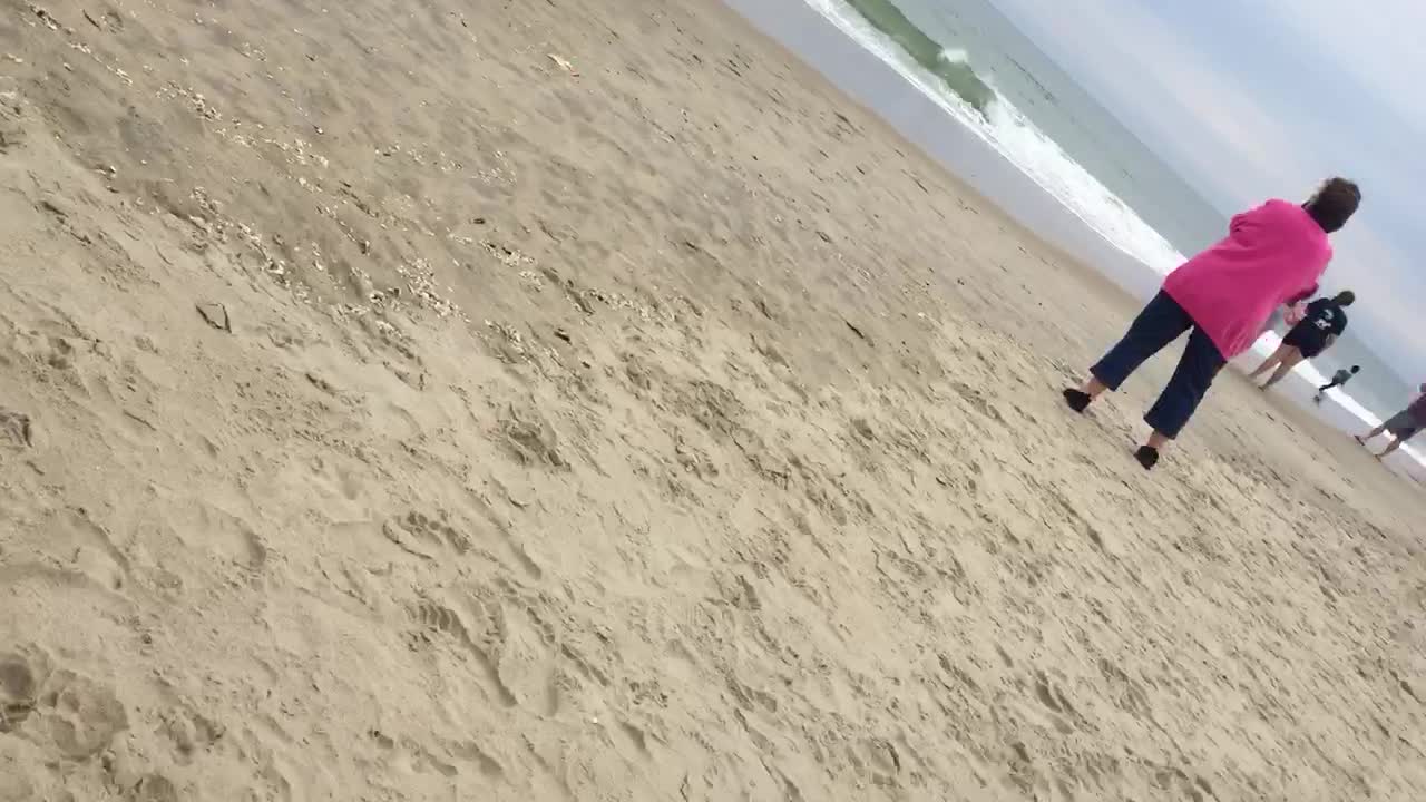 A Humpback Whale sighting at Rehoboth Beach, Delaware