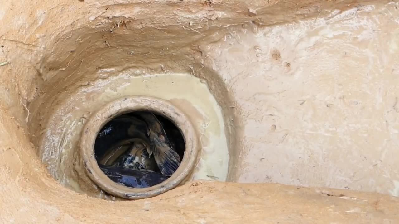 Brilliant Underground Fish-Trap. Catching lots of fish.