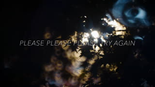 blicklicht - please try again