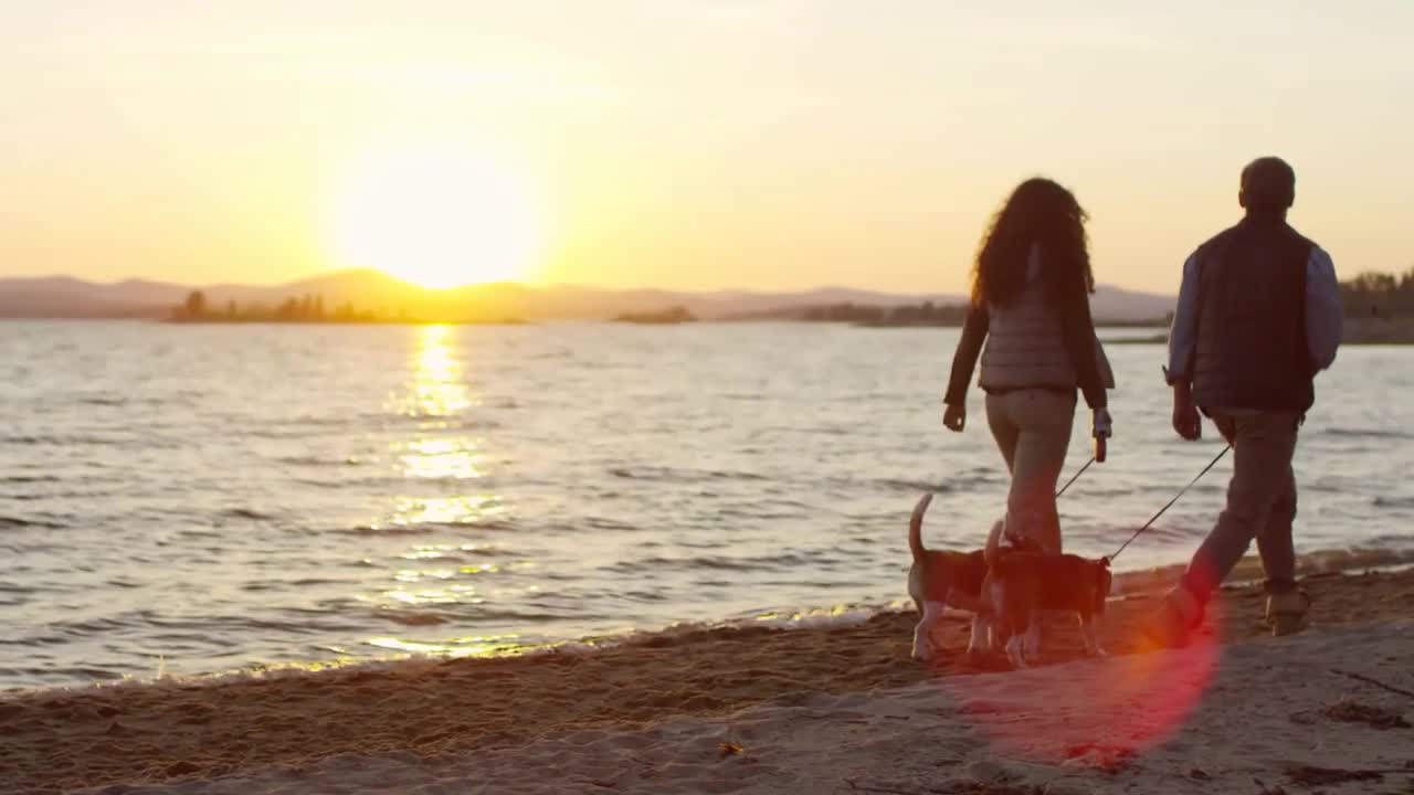 Couple walking with two beagle dogs on leashes along sandy lakeshore at beautiful