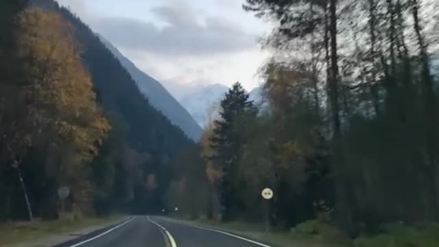 the best car ride for nature
