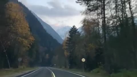 the best car ride for nature