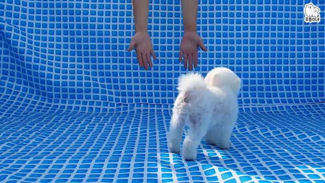 Let's See Rudy's Reaction when I Pretend to Drop her into Deep Water