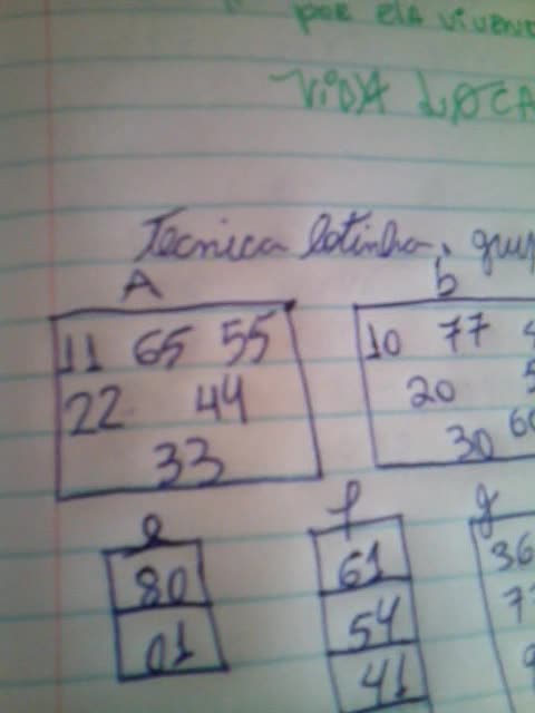 Aprendendo a jogar no bicho pt15