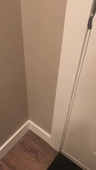 Look mom two legs are better than four