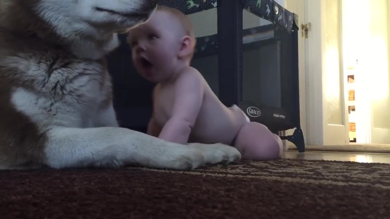 Baby and dog show love for one another