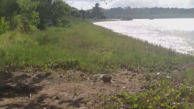 wonderful beach. Did Biden come for a walk Aki?