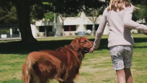 Girl Playing with a Dog