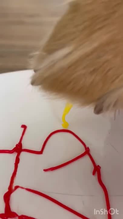 1.Snoopy Dog do #shorts #lifehack