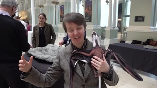 Pterodactyl fossil considered ‘discovery of the century’ is now on show in Scotland