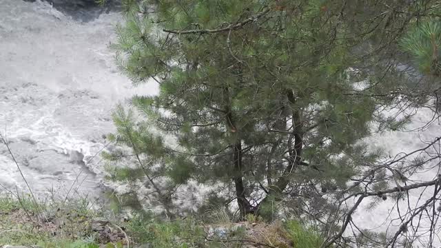 one of the raging rivers in Georgia