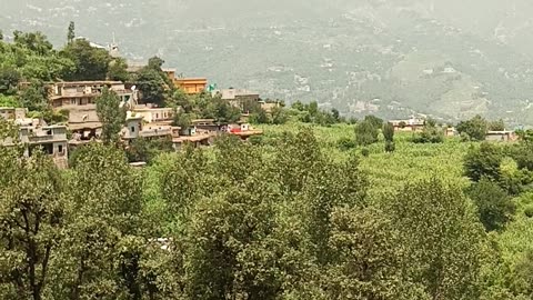 Village
