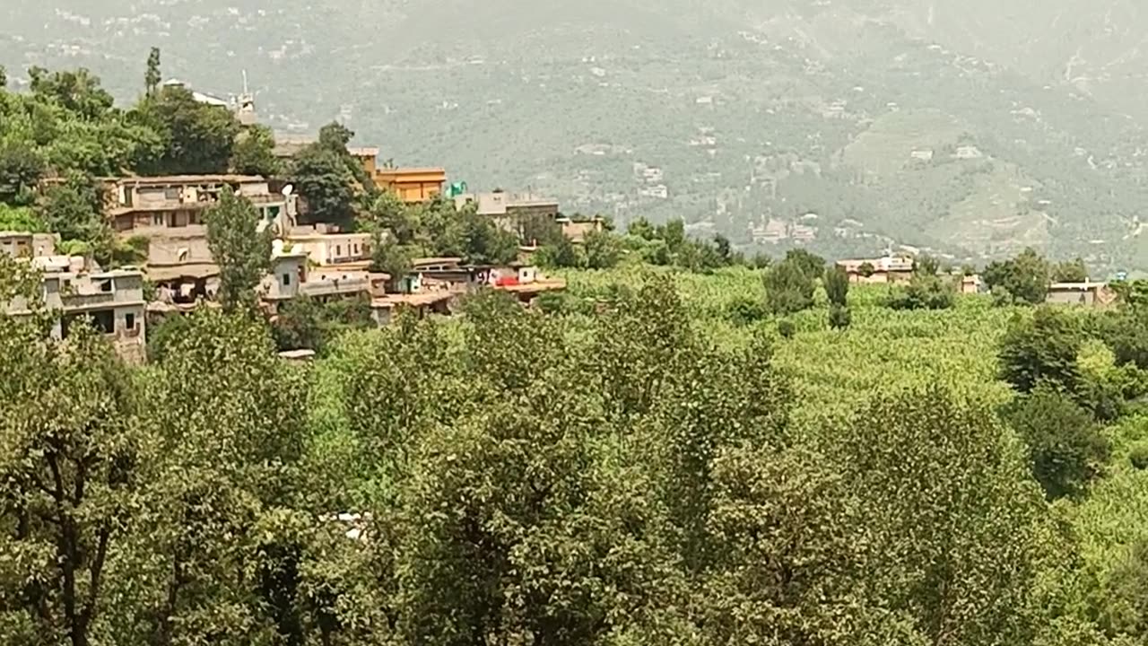 Village