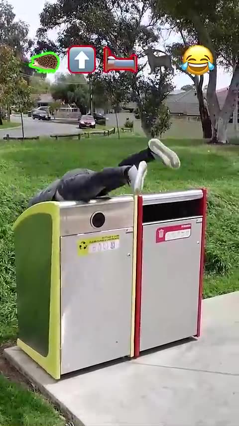 420's CLIP OF THE DAY OCTOBER 28, 2024