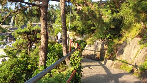 Take a walk in temple