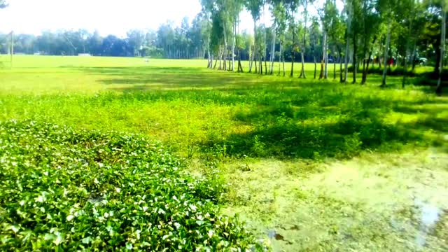 Green Bangladesh Very nice village video #Uzzal-Vlogs #Bangladesh