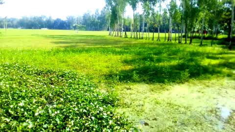 Green Bangladesh Very nice village video #Uzzal-Vlogs #Bangladesh