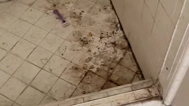 The filthiest bathroom you’ve ever seen.