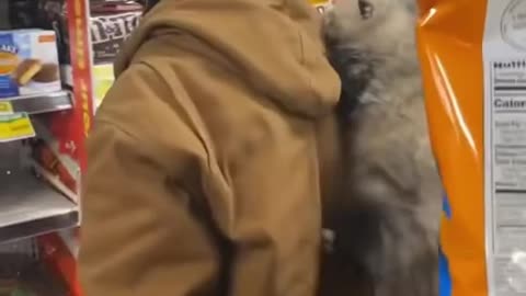 Man Takes His Opossum Into Store