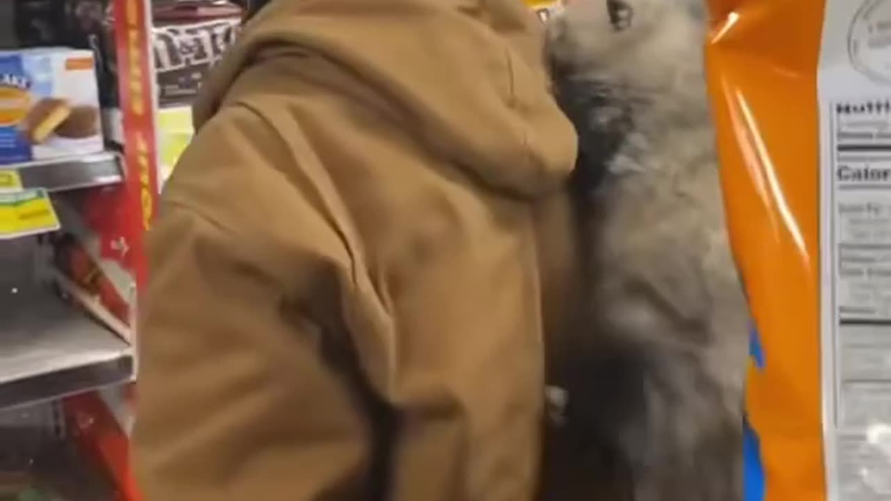 Man Takes His Opossum Into Store