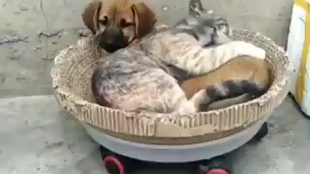 good night friends hahaha