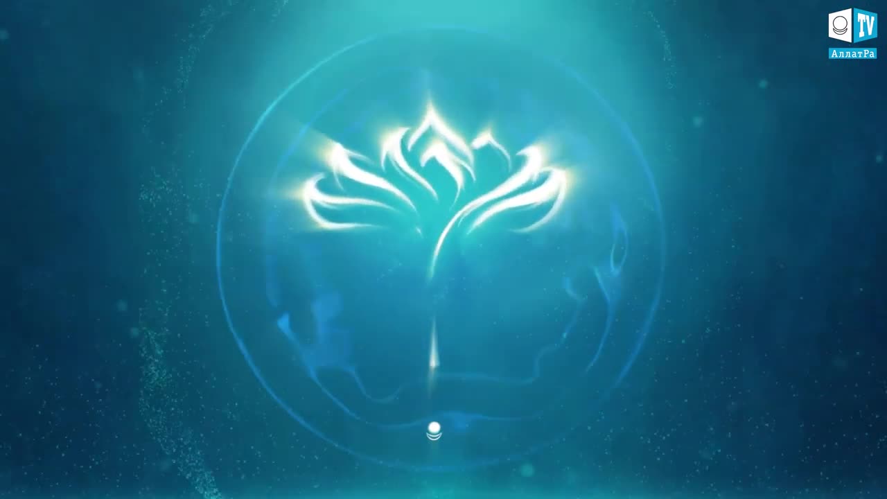 vlad palco – Lotus of a Soul of 'New Petal' EP