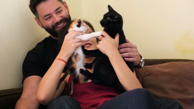 Young couple in the living room relaxing and playing with their adorable cats