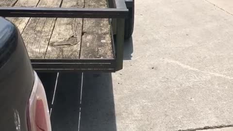 Forklift Load Flattens Trailer