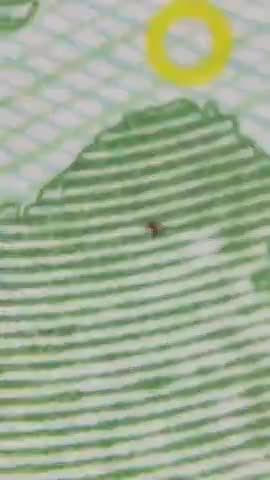 IN YOUR FACE, EURO BILL HAS HIDDEN ITEMS