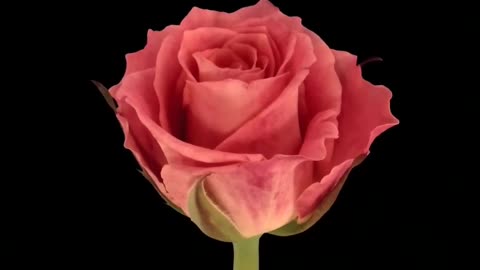 The Breathtaking Beauty of Nature: A Testament to God's Glory